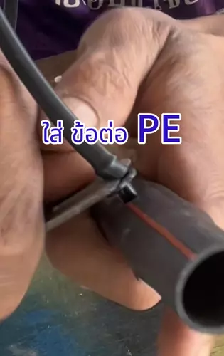 176503