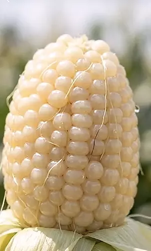 120574