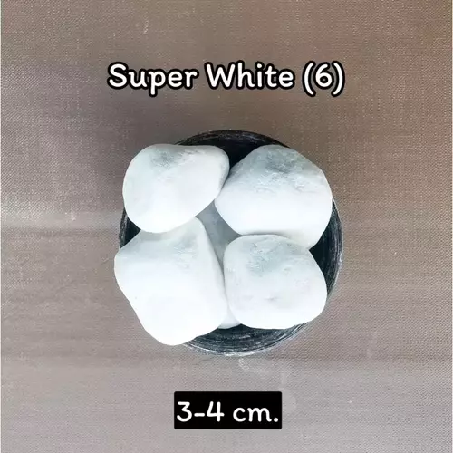 45305