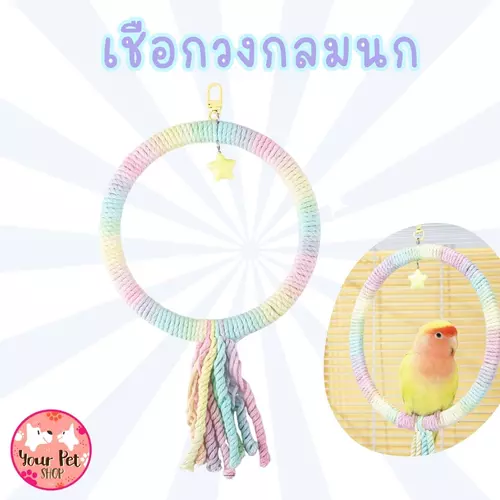 เชือกวงกลมนก Colorful ของเล่นนก ตกแต่งกรง นกแก้ว ฟอพัส Bird