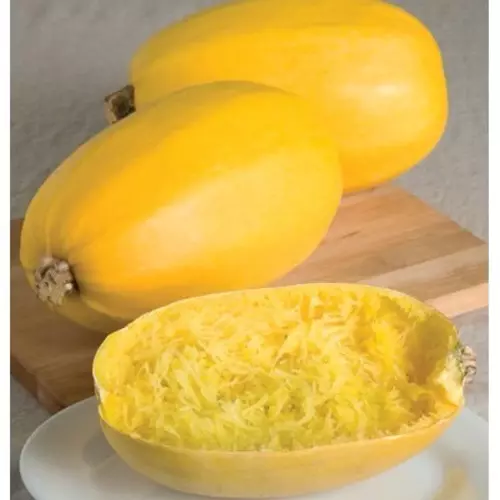 66852