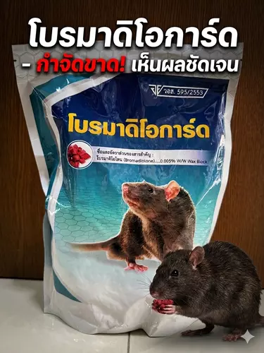 เหยื่อกำจัดหนู โบรมาดิโอการ์ด ชนิดก้อน ใช้งานง่าย (มี อย.) *พร้อมส่ง*