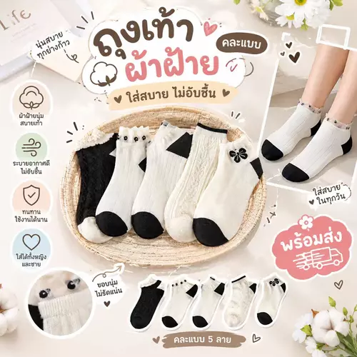 ถุงเท้าผ้าฝ้าย แฟชั่นสไตล์ญี่ปุ่น ฟรีไซส์ ผ้านุ่มใส่บาย พร้อมส่งจากไทย