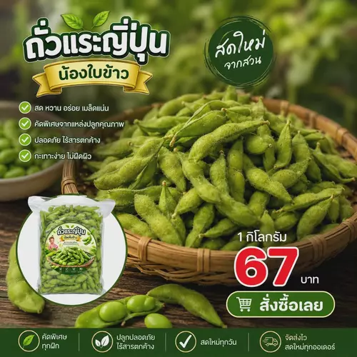 ถั่วแระญี่ปุ่นฝักสด"น้องใบข้าว" | ขนาด 1 กิโลกรัม สดจากสวน | คัดเกรดสวย