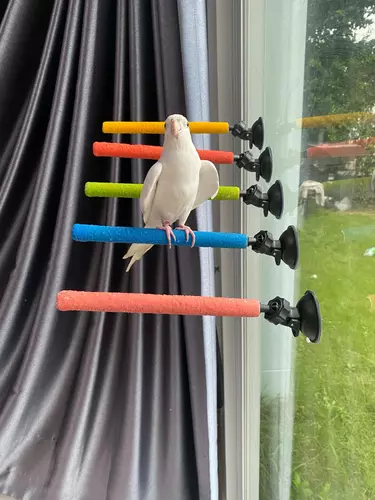 921