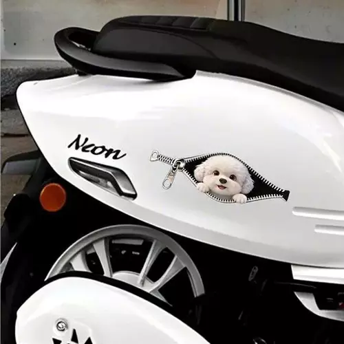 33878