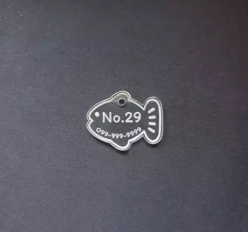 29687