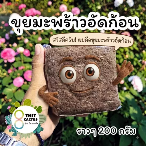 @ขุยมะพร้าวอัดก้อน // ขนาด 200 กรัม // ล้างสารแทนนิน วัสดุปลูก ต้นไม้ ใช้ผสมดิน