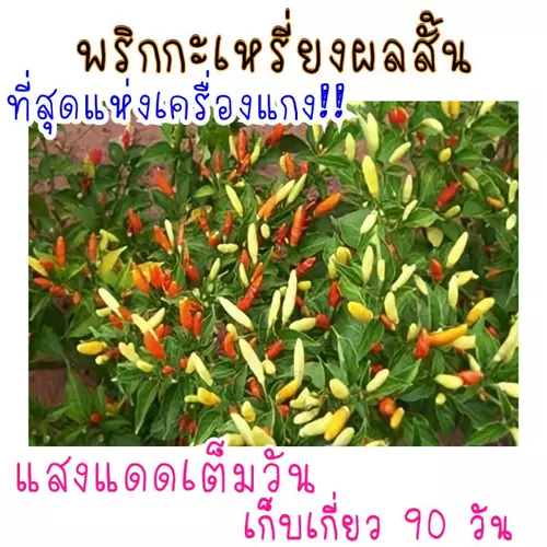 357922630