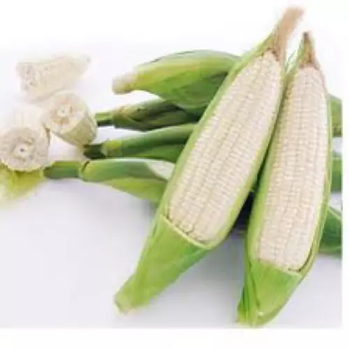 66715