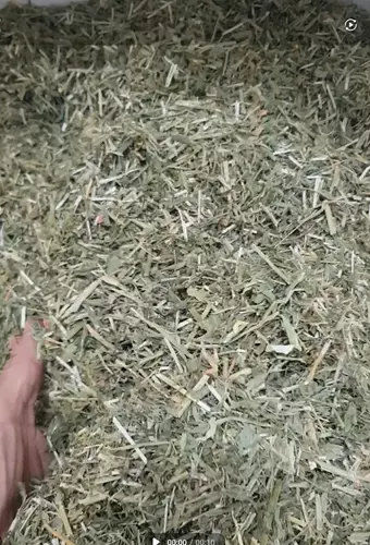 5342