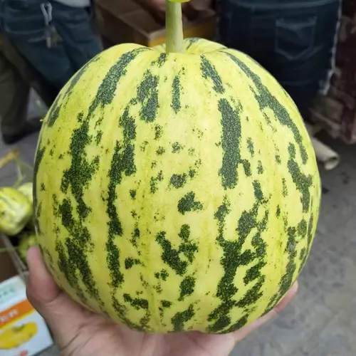 77989651