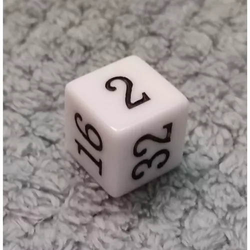 25202