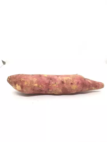 151586