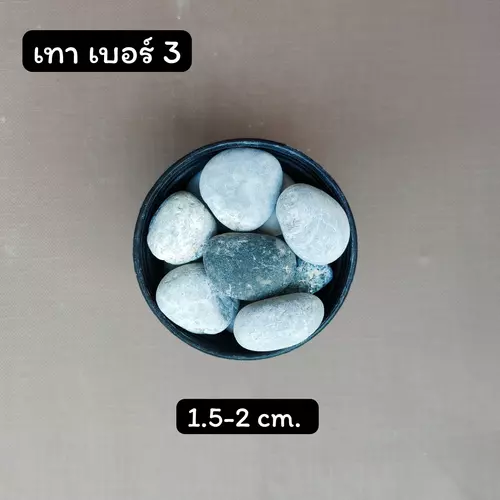 12349