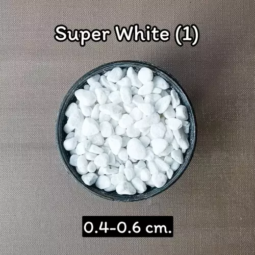 45300