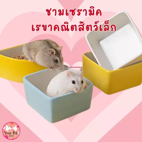 ชามเซรามิคเรขาคณิตสัตว์เล็ก ชามแฮมเตอร์ หนู กระรอก สัตว์ฟันแทะ ชูก้า Small Pet bowl