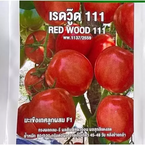 67696
