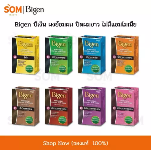 Bigen 6g. บีเง็น ผงย้อมผม ไม่มีแอมโมเนีย ปิดผมขาว ใช้ง่าย อ่อนโยน