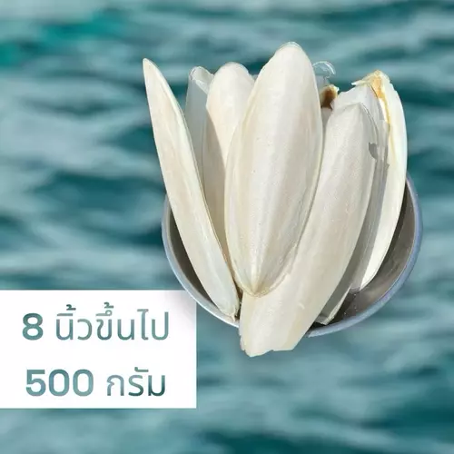 39123