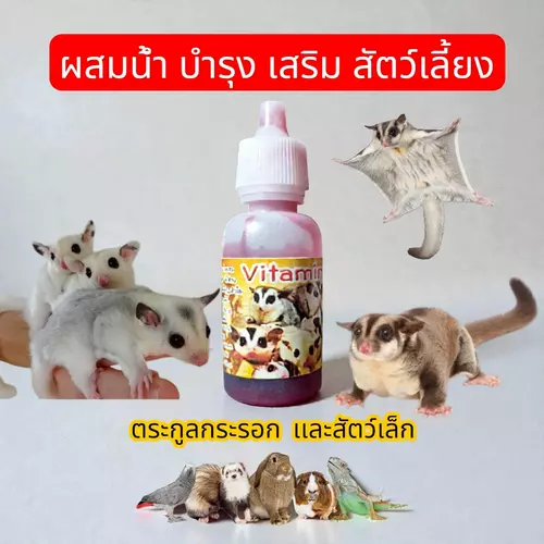 88568
