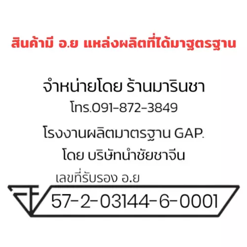53993808