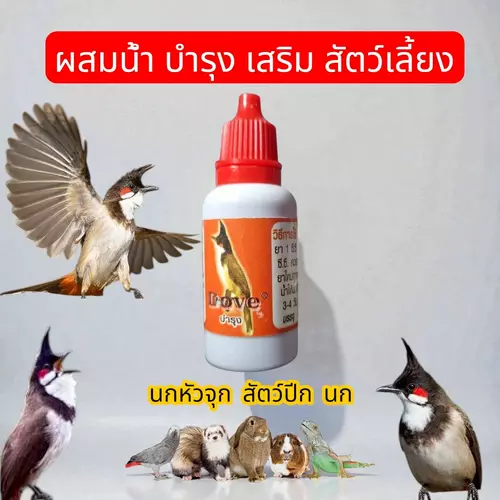 88565