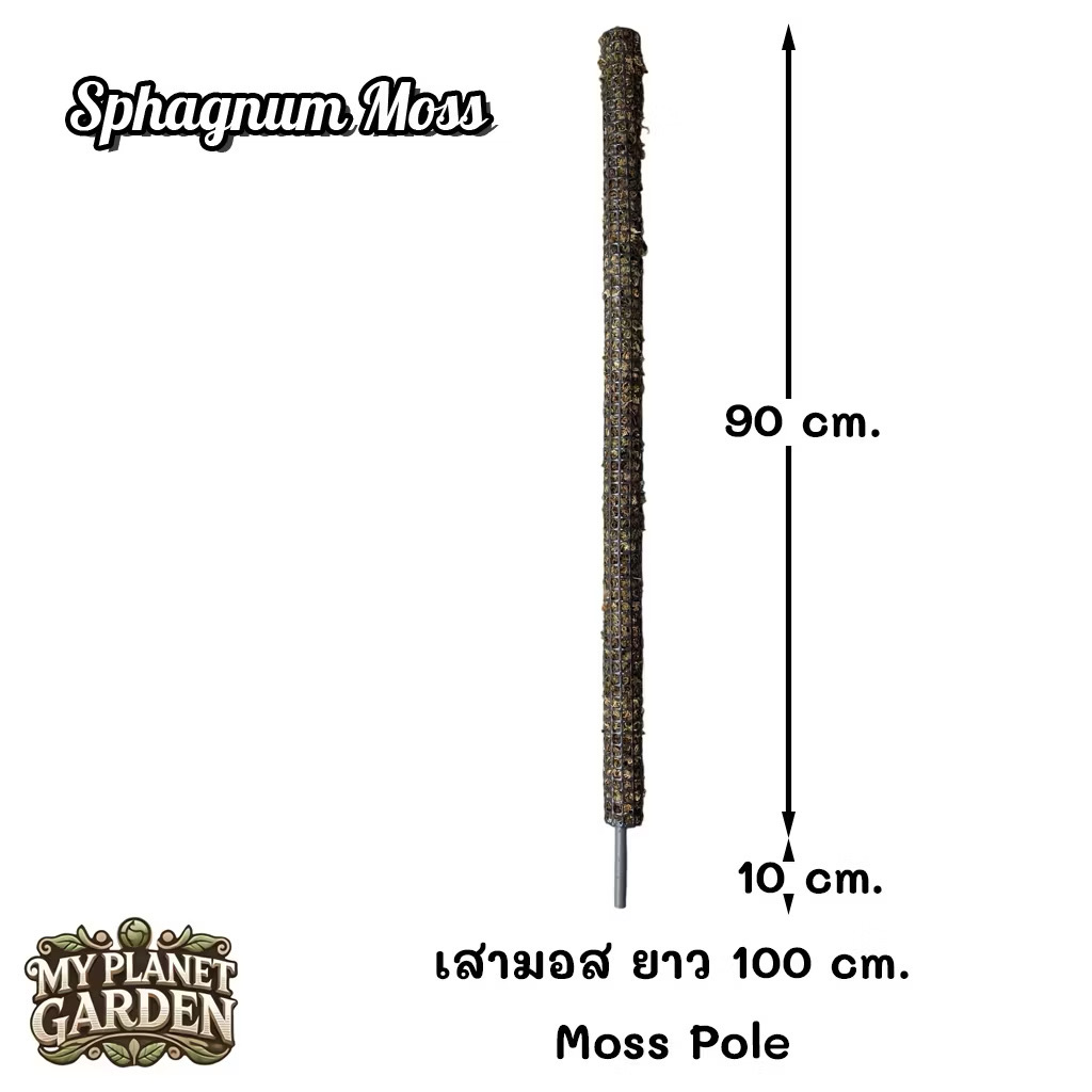 4569