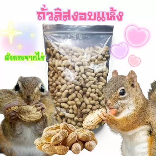 ถั่วลิงสงอบเเห้ง 100g สำหรับสัตว์เลี้ยง ส่งตรงจากไร่ ส่งด่วนทุกวัน