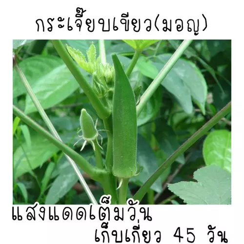 357918330