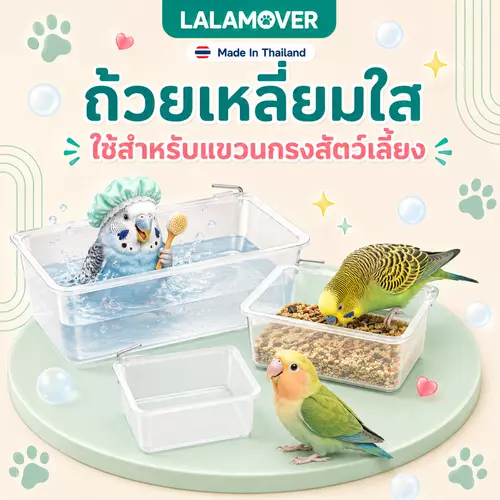 LALAMOVER ถ้วยอาหารนกแบบเหลี่ยม สีใส ยกโหล 12 ใบ | ถ้วยใส่อาหารนกเกี่ยวกรง ใส่น้ำได้ มี 3 ไซส์ S / M / L