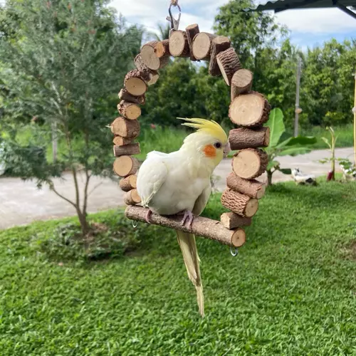 155467