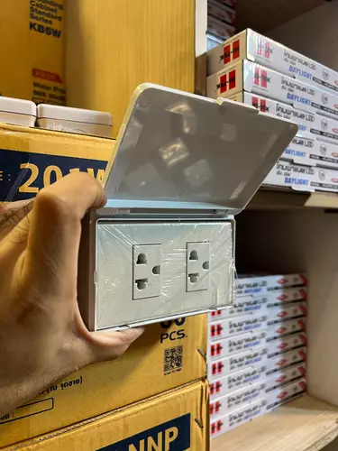 54535481