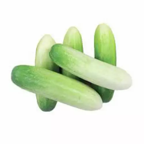 75669