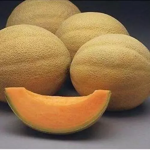 53265819