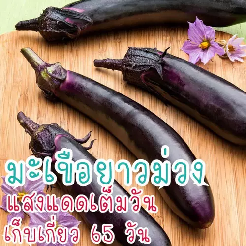 357917356