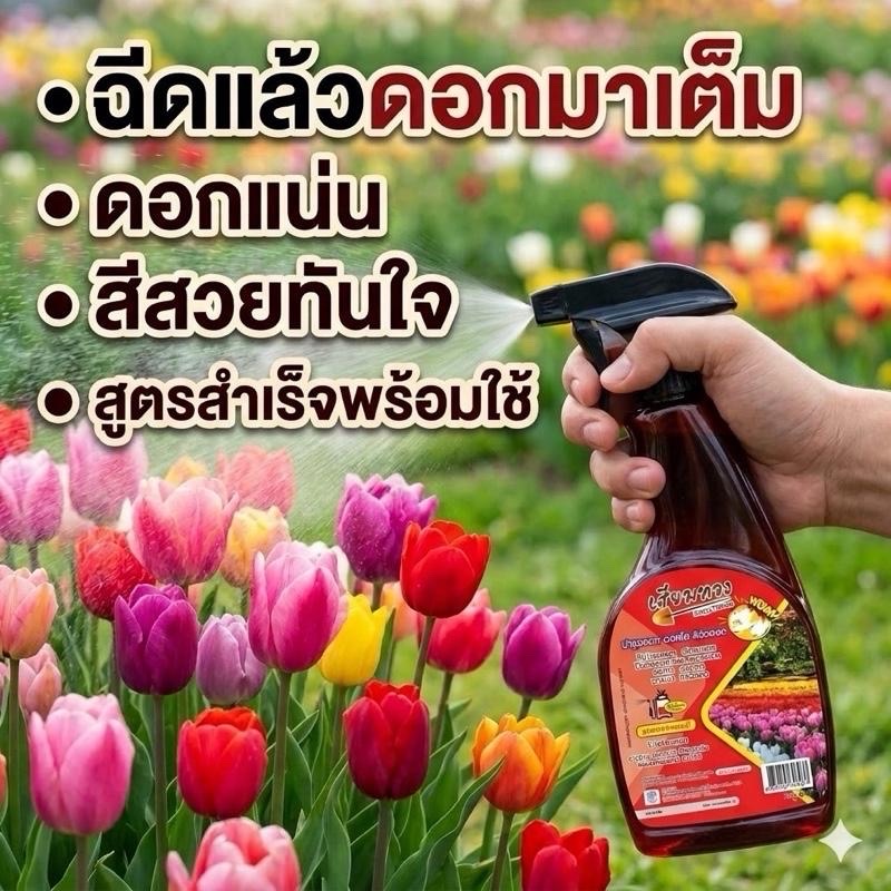ปุ๋ยฉีดเร่งดอก สูตรสำเรพร้อมใช้ ฉีดแล้วดอกมาเต็มต้น ดอกแน่น สีสวย บานเร็ว ไม่ต้องผสม 500cc