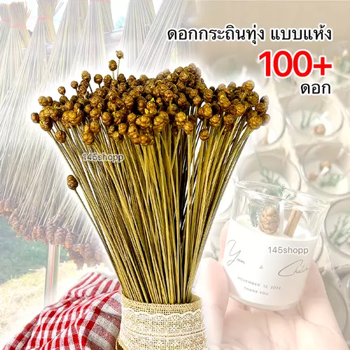 ดอกกระถินทุ่งแห้ง มัดใหญ่ ได้ 100+ดอก ดอกไม้เเห้ง ดอกหญ้าแห้ง ใช้ตกแต่งเทียนหอม ทำของขวัญ หรือพร้อพถ่ายรูป