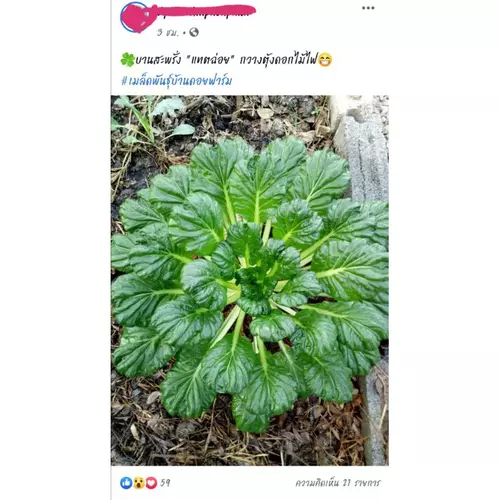 357918242