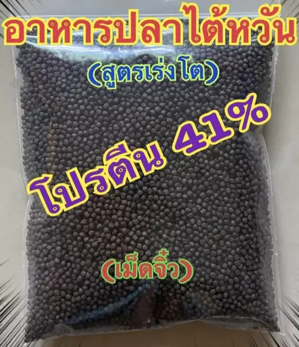 อาหารปลาไต้หวัน สูตรเร่งโต (โปรตีน41%)