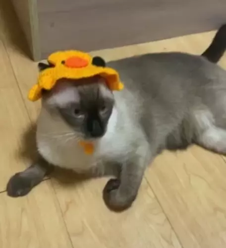 122029