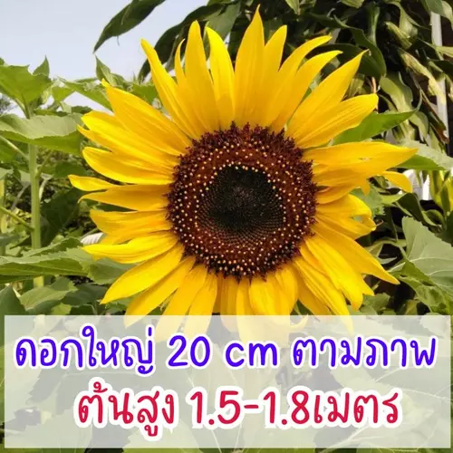 111511