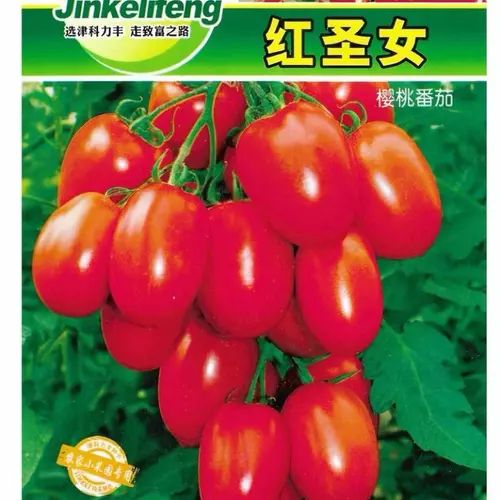 75535
