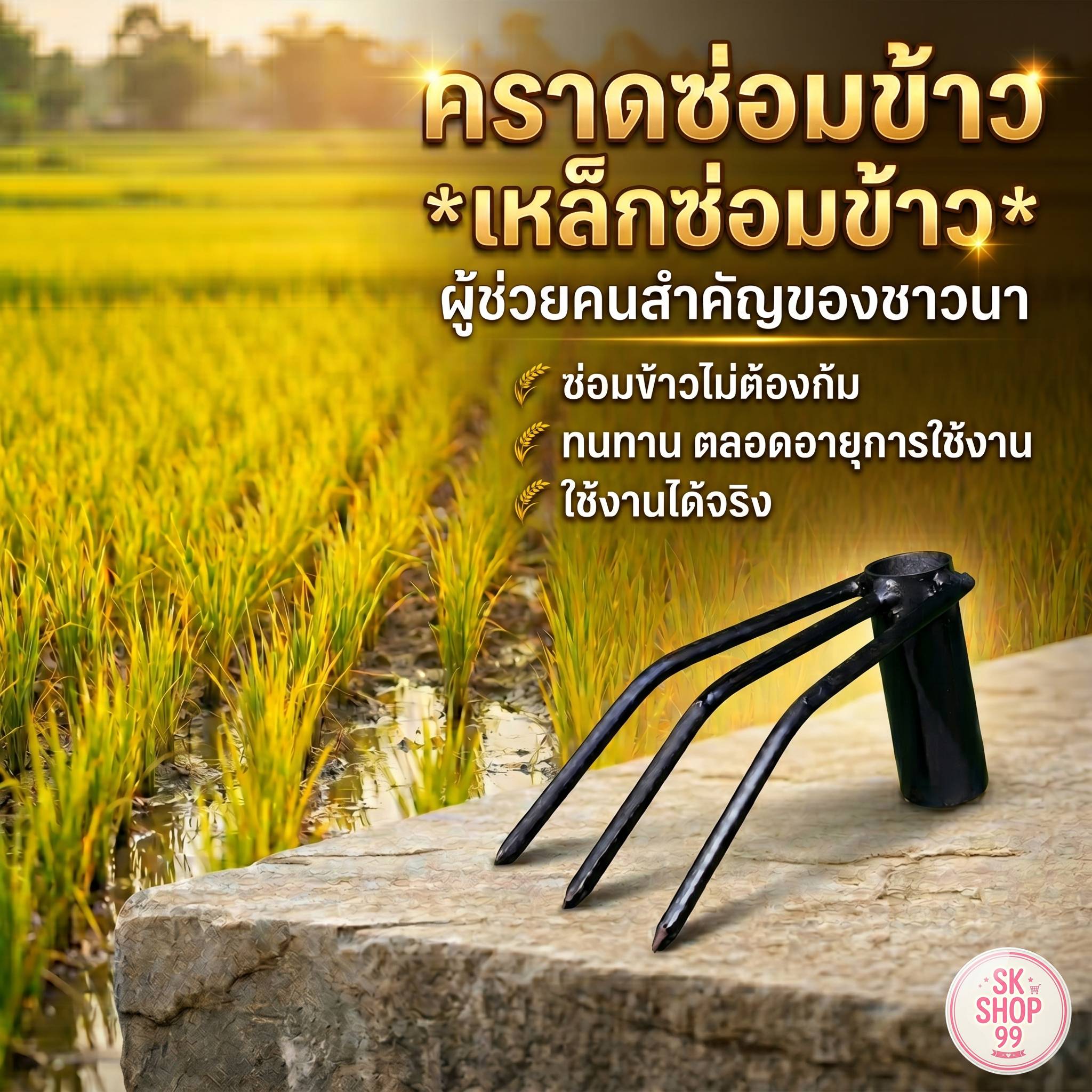 เหล็กซ่อมข้าวตัวช้วยชาวนาไม่ต้องก้มดำนา สีดำ