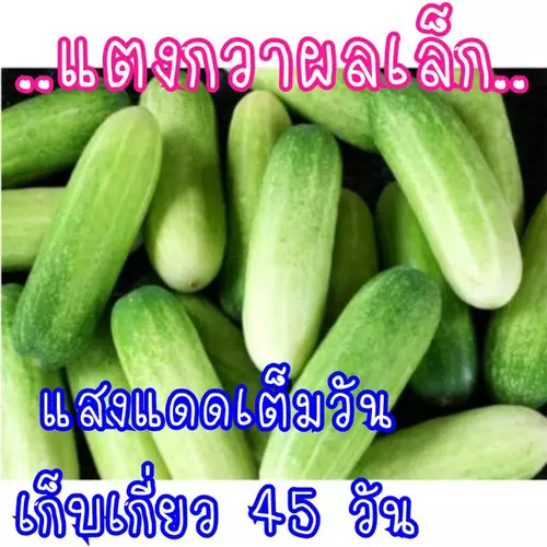 357865328