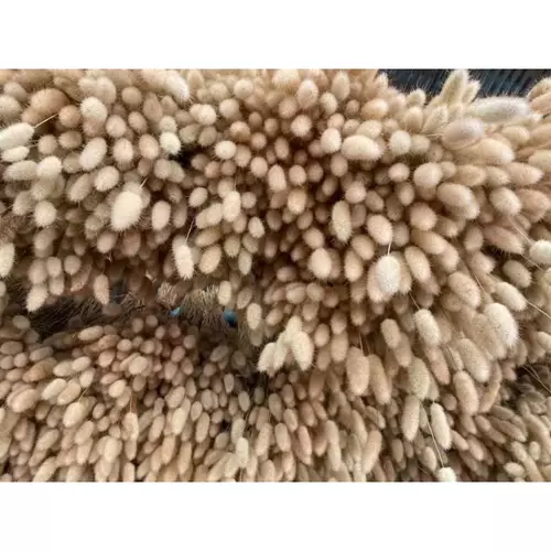 357922864