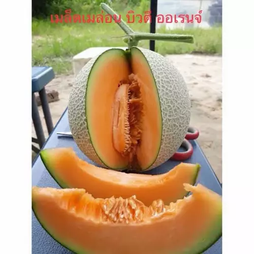 82313