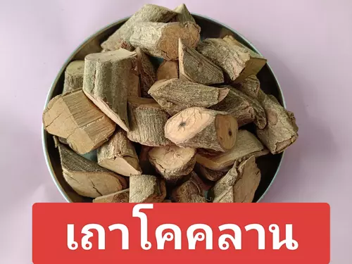 เถาโคคลานแห้ง สมุนไพรไทย