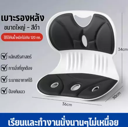 เบาะรองนั่ง เบาะนั่งเล่น แบบมีพนักพิงเอว/เบาะรองเอว