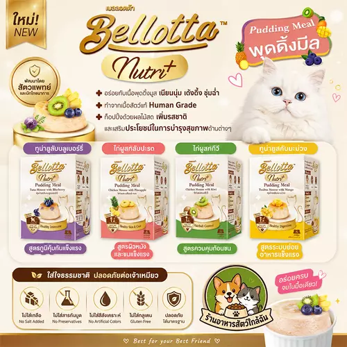 Bellotta Pudding Nutri Meal เบลลอตต้า พุดดิ้ง สำหรับแมว (25g.x4 ถ้วย) ขนาด 100 g